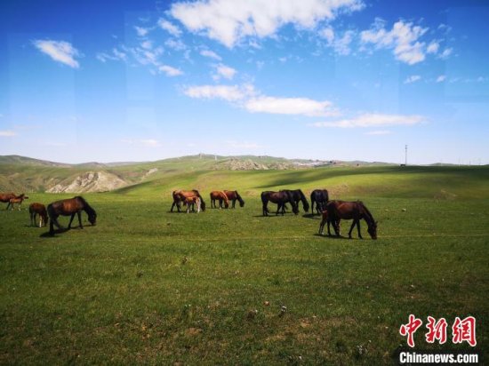 距离<em>北京最近</em>的内蒙古草原迎来旅游季：在鲜花草原清凉一夏