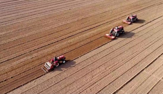 大河早点看丨河南小麦已出苗面积超6000万亩；2025年河南要...