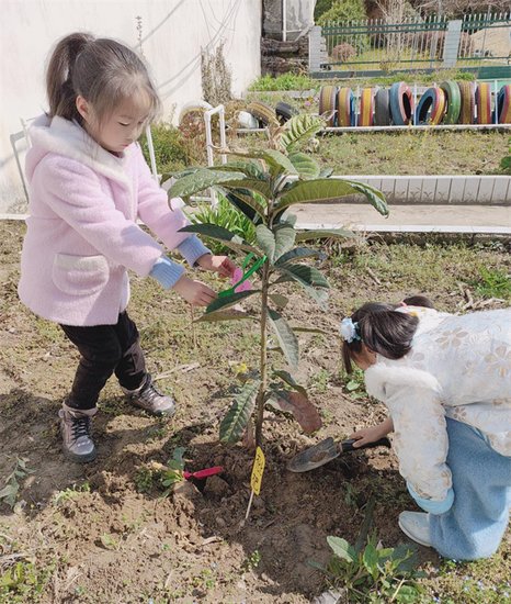 房县化龙堰镇中心幼儿园：我和小树一起成长