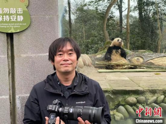 日本大熊猫摄影师：“香香”是我与中国精彩故事的起点