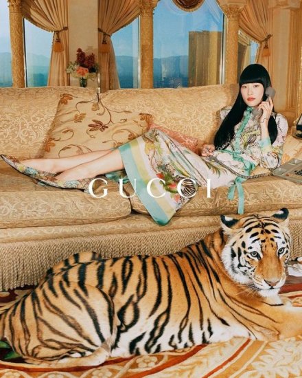 Gucci拍摄虎年新品广告用了真老虎，<em>国外</em>动物保护组织怒了