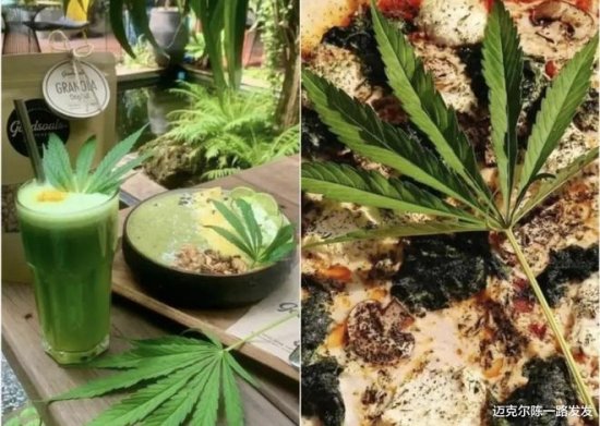 泰国种植吸食大麻正式合法化 民众聚集大麻咖啡馆兴奋购买大麻...