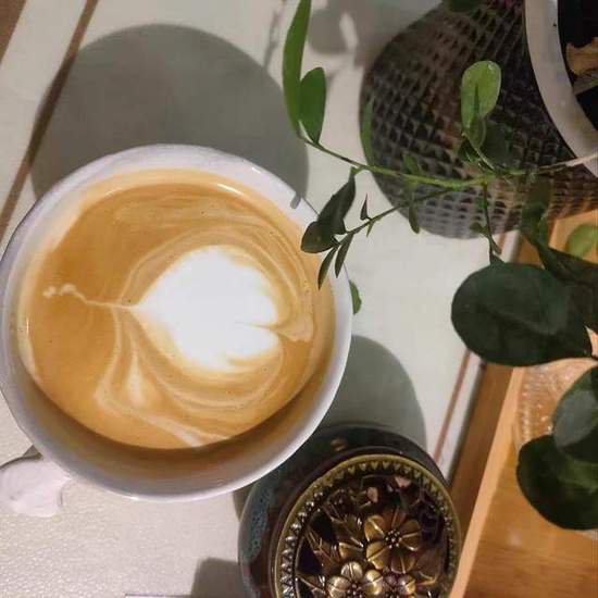 <em>咖啡机</em>购买攻略：苏泊尔半自动<em>咖啡机</em>和百胜图<em>咖啡机哪个好</em>？