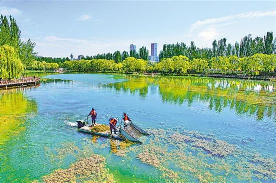 <em>银川</em>市河道管理人员清捞水草保持河水清澈