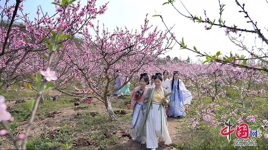 自贡沿滩区：第七届“春田花事·自在永安”桃花观赏季启幕