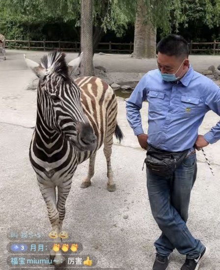 上海野生动物园：闭园两个月 每天通过<em>直播</em>与游客见面