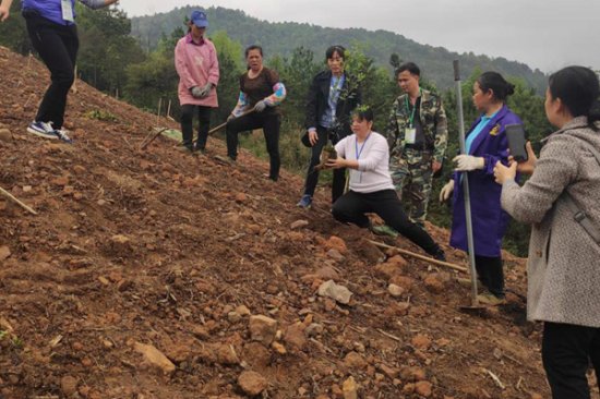 平乐县乡村科技特派员开展送春季造林技术到山头地块服务活动
