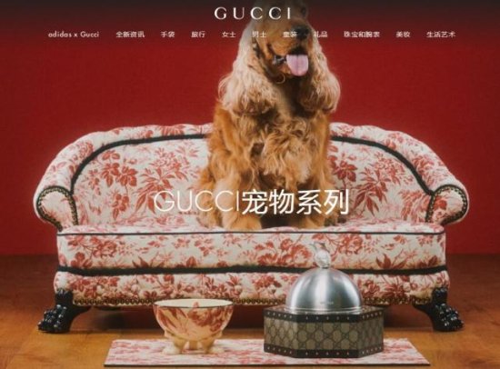 一张宠物床卖7万 Gucci、LV、爱马仕……<em>奢侈品牌</em>纷纷抢滩“它...
