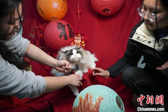 长沙一<em>宠物店</em>为宠物拍“年味”写真迎新春