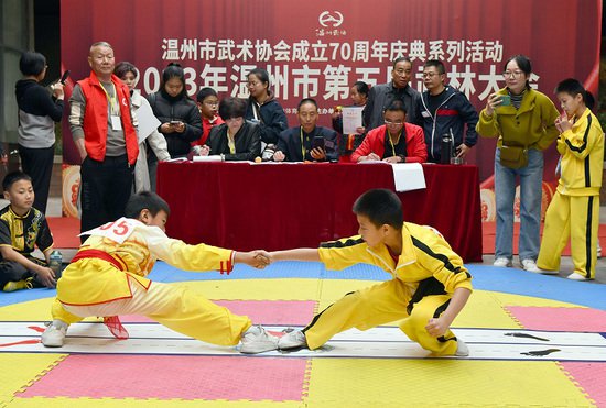 2023年温州市第五届武林大会之“少儿打马拳比赛”隆重举行