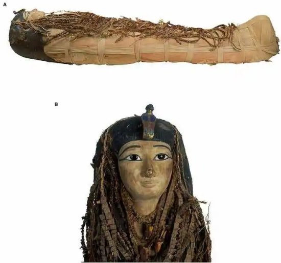 科学家给木乃伊做了个三维CT，数字解封3500年前的埃及法老！