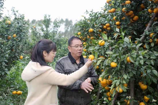 贵港市港南区：培育发展家庭农场 助推农业提质增效