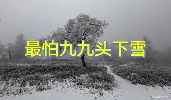 “最怕九九头下雪”，今日正月二十三交“九九”，降雪有啥<em>预兆</em>...