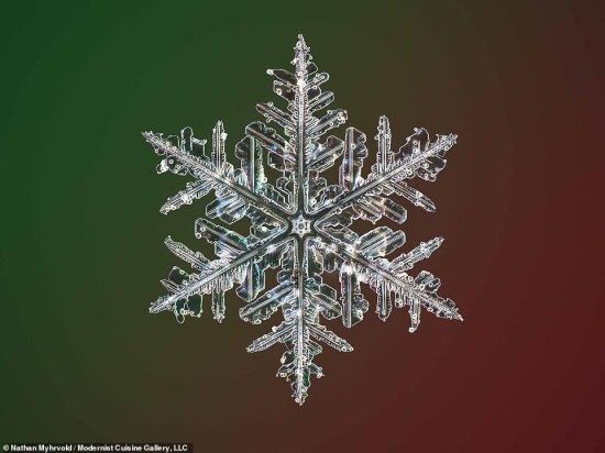 自制微距相机拍出史上最高分辨率雪花照片，惊艳展示绝美冰晶