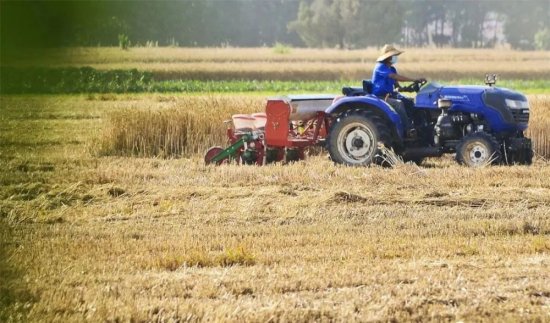 夏邑县102.63万亩，麦收工作已大头落地，夏种基本结束