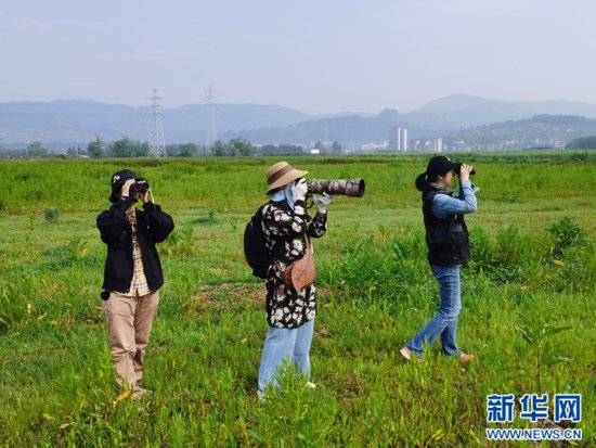 一天内观测到132种鸟类<em> 福州</em>这个村藏不住了-新华网