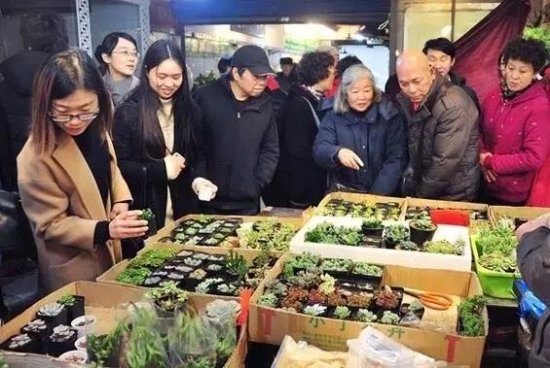 再见！上海市中心最大的花鸟市场！未来曹家渡商圈将全面升级