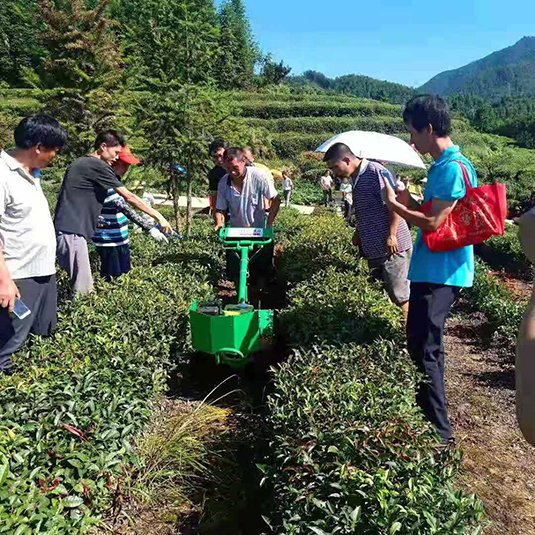<em>湖南益阳</em>安化县农机事务中心助力茶产业发展