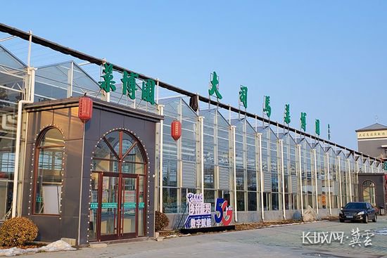 沧州青县：特色果蔬“组团”进京闯市场
