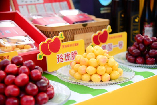 第五届中国·澄城樱桃营销季系列活动5月20日启动