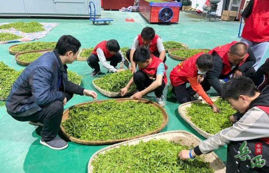 菖蒲中心学校师生参观校外劳动教育实践基地学习制茶技术