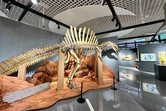 上海市群众艺术馆新展揭秘“<em>恐龙</em>是如何<em>复活的</em>”