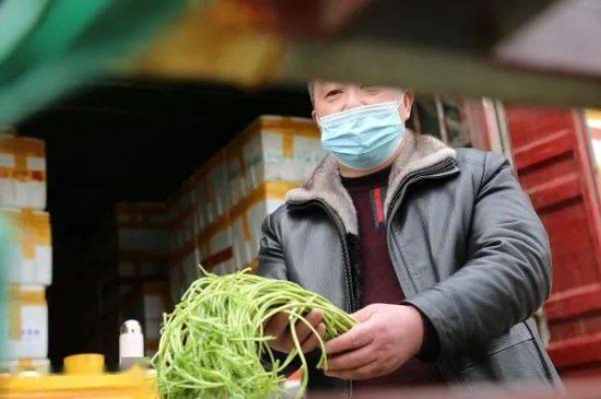 “绿通车”高速公路畅行无阻，给武汉市民每天配送新鲜菜
