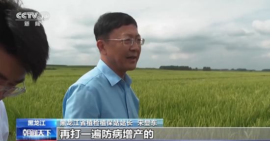 被洪水淹过的稻田如何补救？农技专家来支招