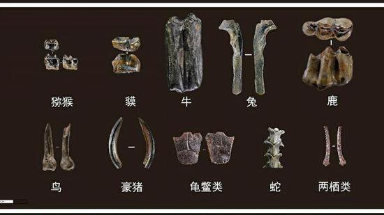 濛溪河旧石器时代遗址入选“2023年中国考古新发现”