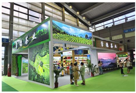 12家常德茶企亮相2023中国(深圳)国际春季茶产业博览会