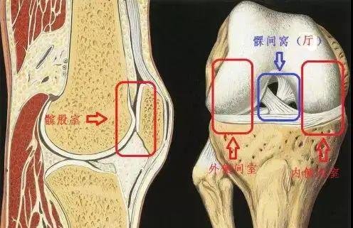 罗廷虎专家用“钥匙孔”手术修复大车司机膝关节的“一室一厅”