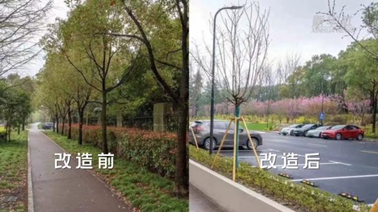 拆围透绿：<em>上海最大</em>的城市公园拆下围墙对外开放