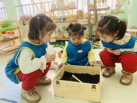 扎兰屯市第二幼儿园开展“创意<em>种植</em>”：播种希望不负春光