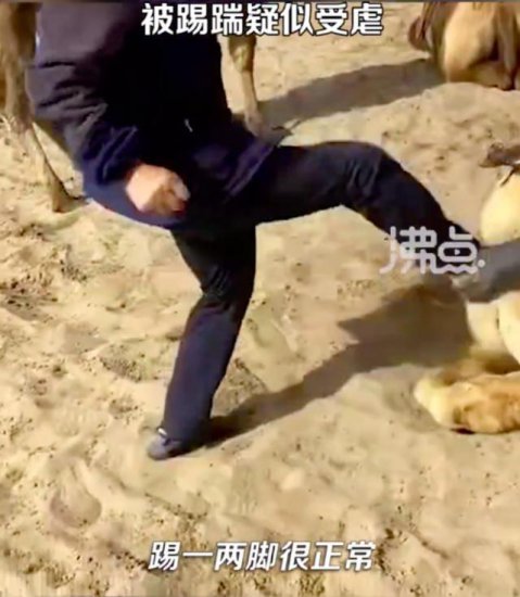月牙泉景区回应骆驼被踢踹：有时候动物<em>不听话</em>，踢它两脚很正常