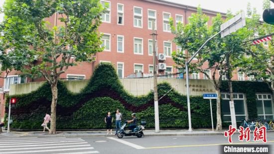 上海“见缝插绿”：立体绿化“+文化”“+艺术”令人心生欢喜