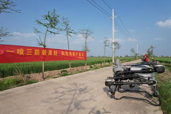 河南淮滨：上百台无人植保机助力小麦“一喷三防”