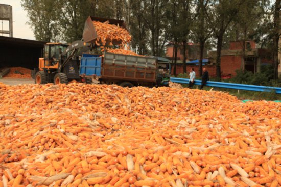 唐河县积极推进农业机械化 提高农田生产率