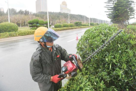 连日来，平潭综合实验区城乡环境发展有限公司针对平潭国省干道...同时，根据不同植物的习性，对乔灌木、绿篱、地被等绿化植被进行...