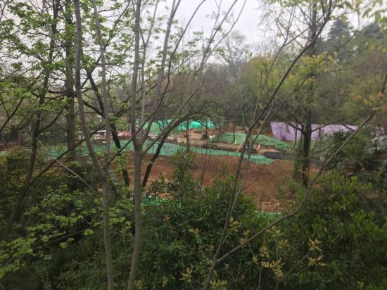 南京<em>红山动物园</em>改建场馆离民宅仅20米，规划合理性引争议