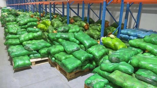 <em>江苏</em>昆山：千吨级蔬菜保供基地全力保障百姓日常生活需求