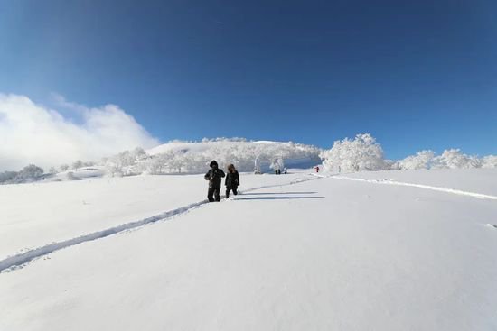 别样的冰雪玩乐路线——雪乡、凤凰山等你来体验！