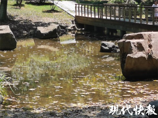 四川彭州山洪致多人死伤，这些“野生”网红景点能别去了吗？