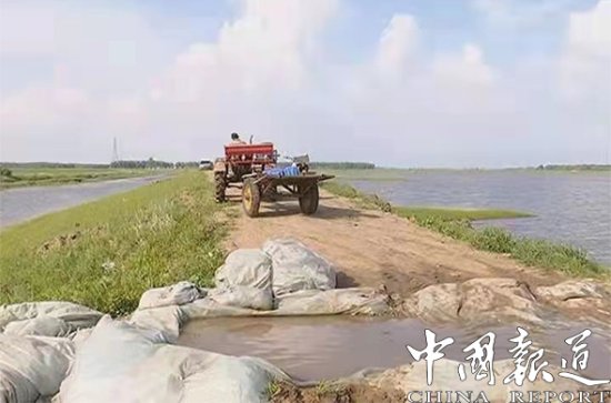 <em>黑龙江</em>齐齐哈尔<em>富拉尔基区</em>全力应对洪峰安全过境