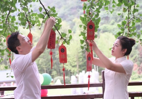 永州双牌：千年夫妻银杏树见证“爱情告白”