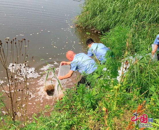 自贡市沿滩区开展非法捕捞水生生态修复补偿增殖放流活动