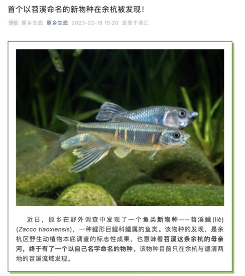 全球新物种，在杭州首次发现！<em>取名</em>为苕溪鱲，网友：<em>能不能</em>标个...