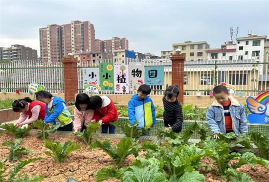寻乌县城南幼儿园开展自然生态课程