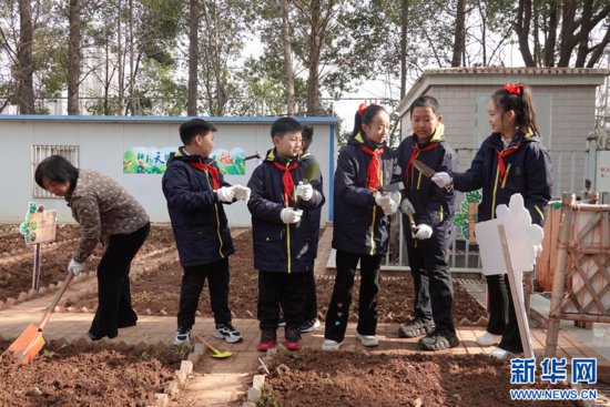 武汉市农业专家带领小学生当“小农夫”
