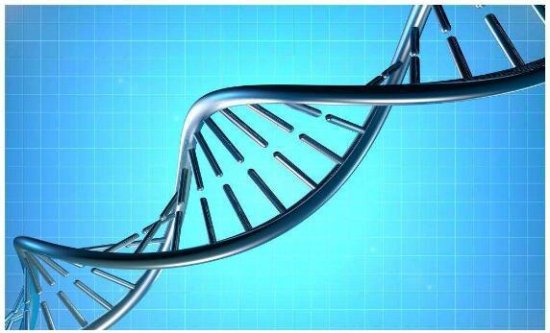 基因测序市场需求释放 行业未来发展方向预测