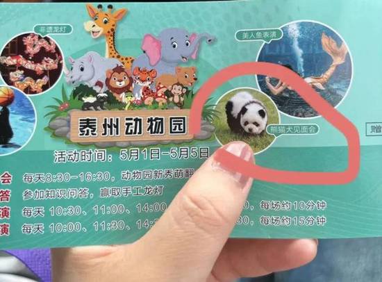 泰州<em>动物园</em>“熊猫犬”引争议，回应：特地引进，引进时已染色